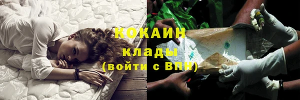 дурь Покачи