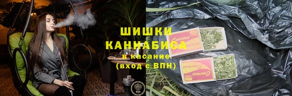 дурь Покачи