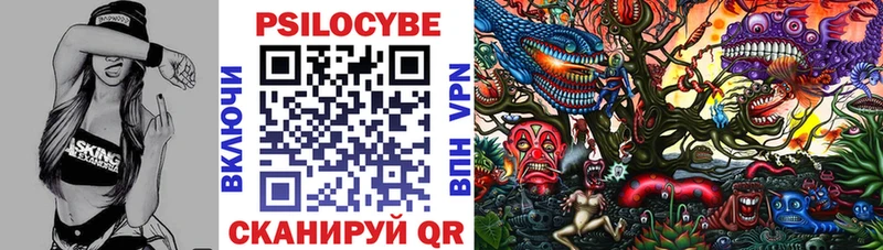 дарнет шоп  Анжеро-Судженск  KRAKEN ссылки  Галлюциногенные грибы Cubensis 