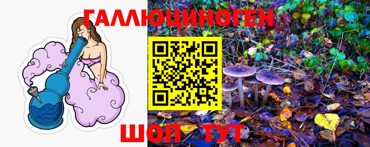 магазин    Псилоцибиновые грибы Psilocybe  Вход с VPN  Анжеро-Судженск 