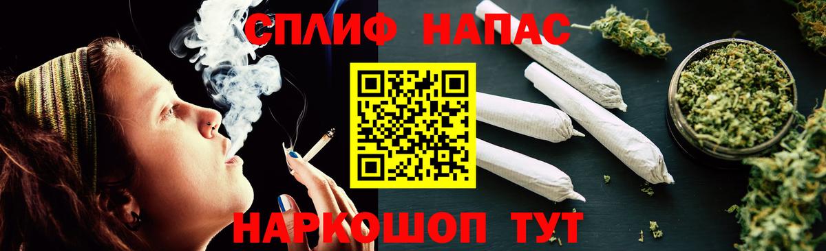 Конопля конопля Анжеро-Судженск